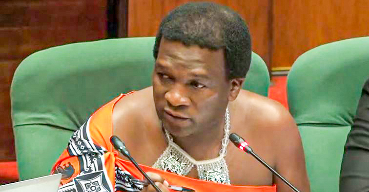 Public Accounts Committee Chairperson Madala Mhlanga.